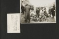 无棣县文史资料下载 无棣县文史资料下载