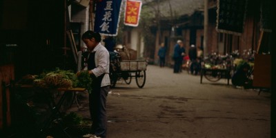 郁南县志