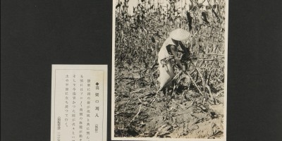 上栗县地名志下载