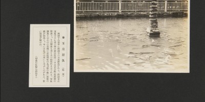 华阴市地方志县志版本汇总