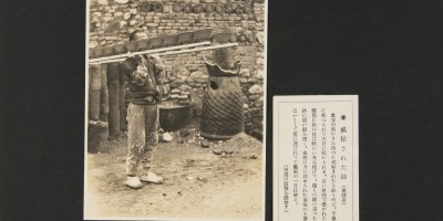 东兴市志下载PDF