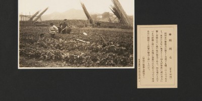 三明市志地方志下载