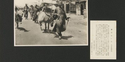 上海地方志法规