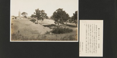 阜城县志全文