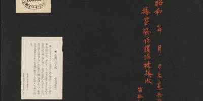 东安县志下载PDF