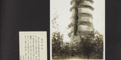 东阿县地方志县志版本汇总