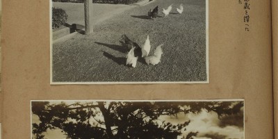 京山县志杨文伟