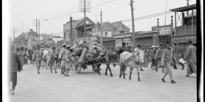 三门峡市志地方志下载