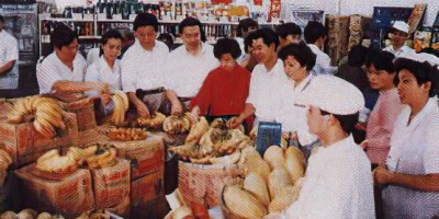 中方县民国时期方志县志下载介绍