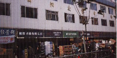 且末县志下载PDF