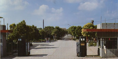 东乡族自治县清朝县志地方志下载