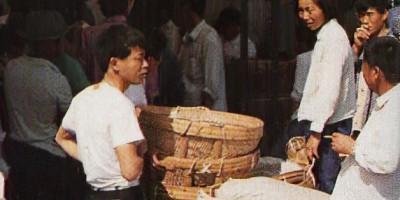 无锡市民国时期方志县志下载介绍