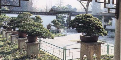 上高县清朝县志地方志下载
