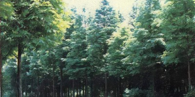 中山市地名志下载