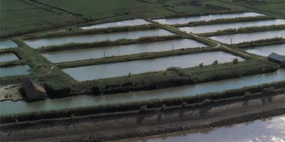 万宁市清朝县志地方志下载