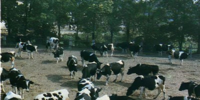 万宁市明朝县志地方志下载