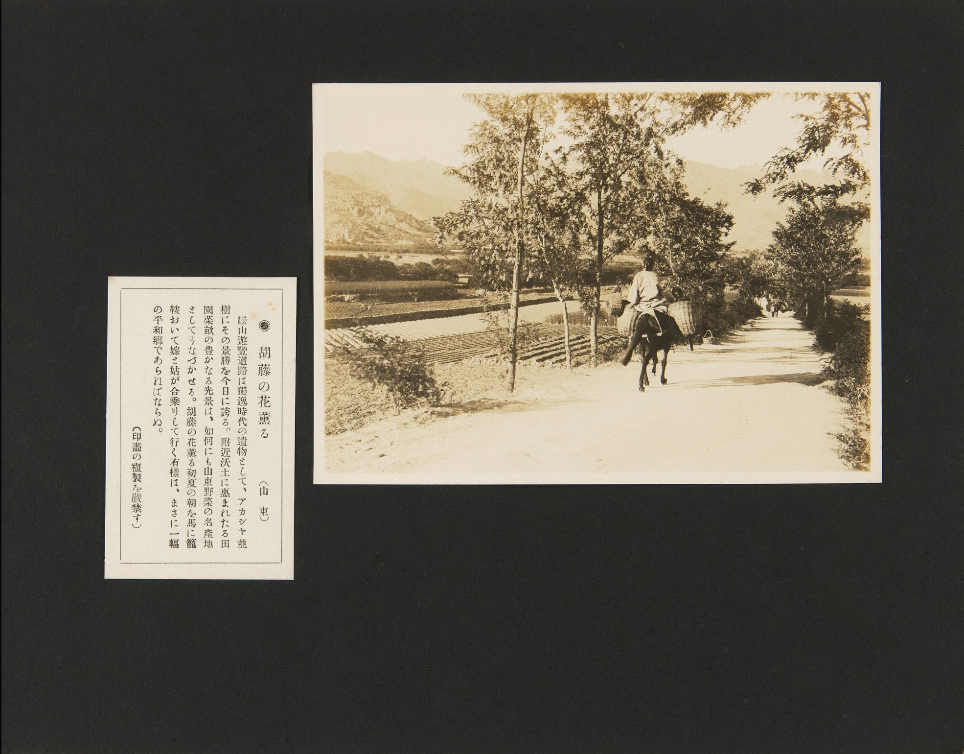 威县地方志县志版本汇总 威县地方志县志版本汇总