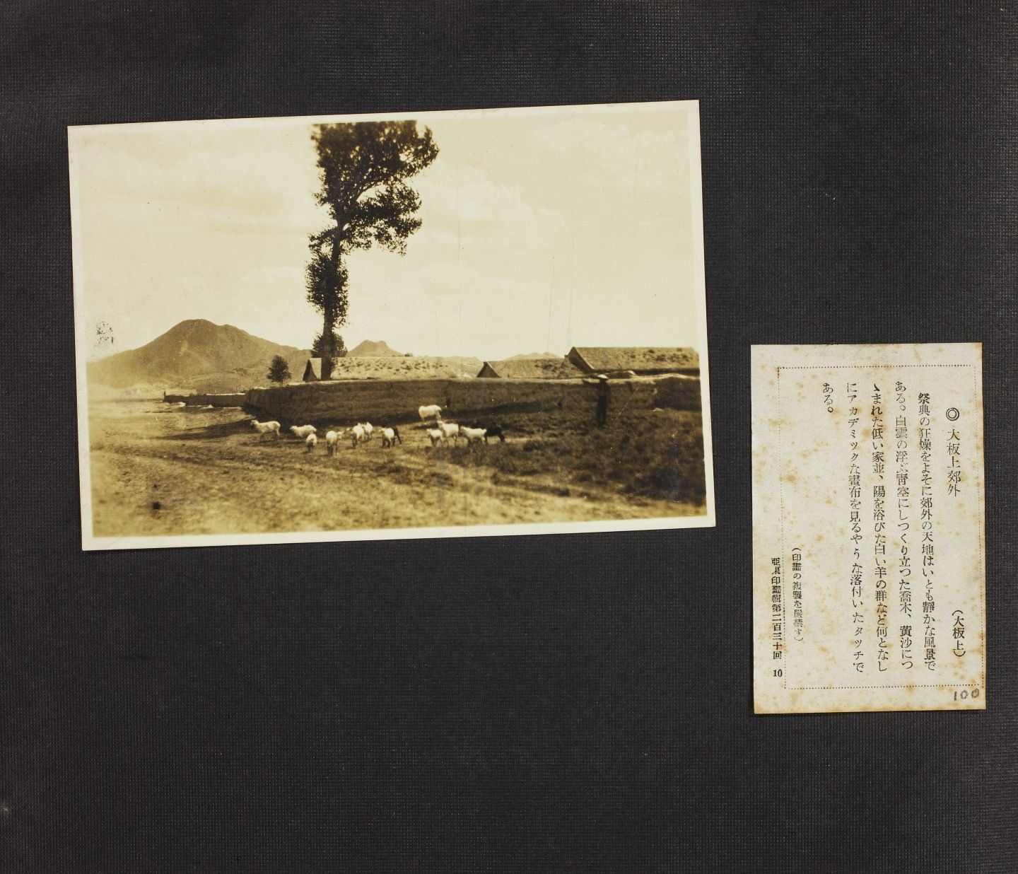 东辽县清朝县志地方志下载 东辽县清朝县志地方志下载