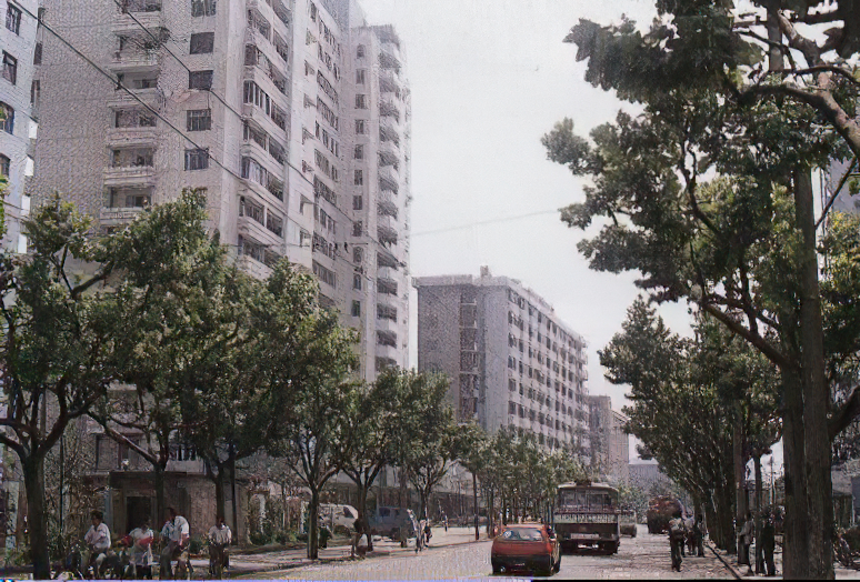 青岛市民国时期方志县志下载介绍 青岛市民国时期方志县志下载介绍