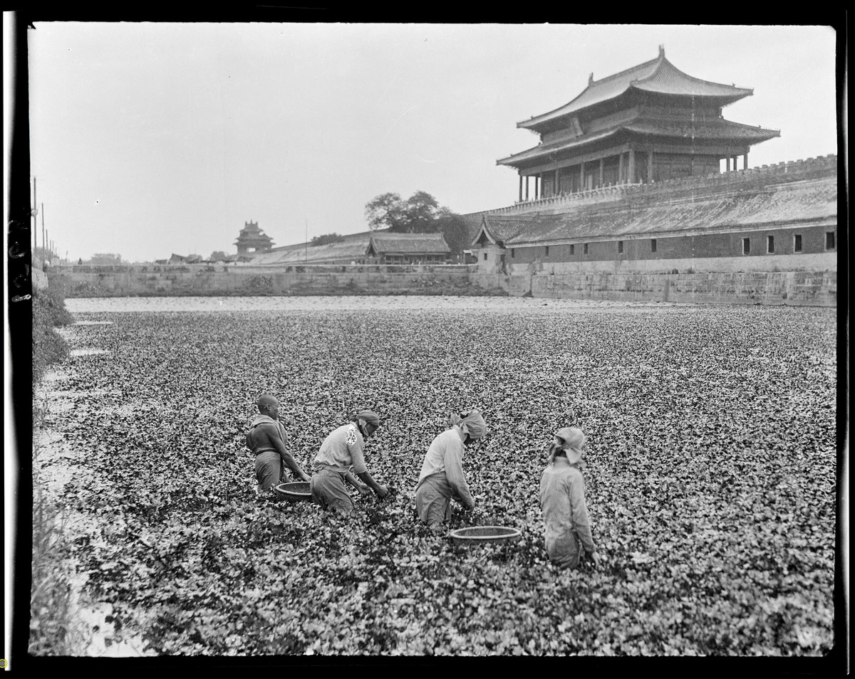 宁乡县明朝县志地方志下载 宁乡县明朝县志地方志下载