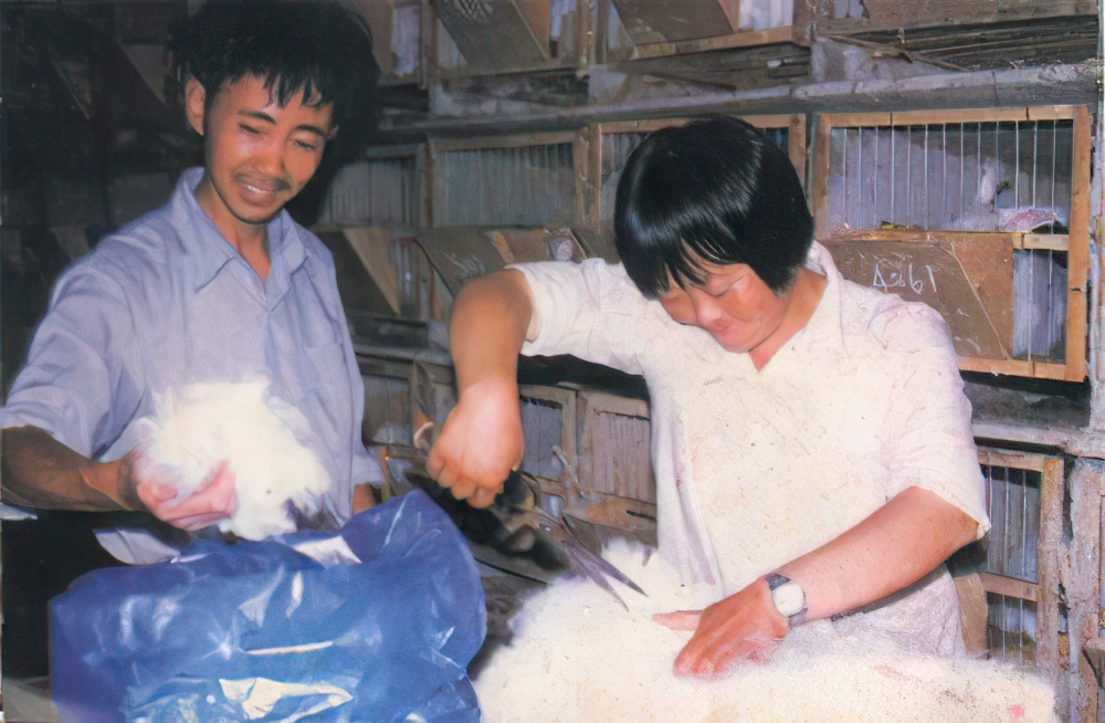 塔什库尔干塔吉克自治县清朝县志地方志下载 塔什库尔干塔吉克自治县清朝县志地方志下载