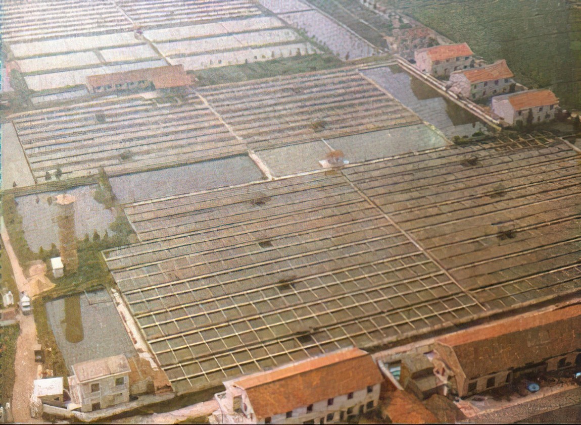 沈阳市清朝县志地方志下载 沈阳市清朝县志地方志下载